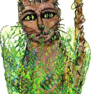 Meet your Posher, Robin